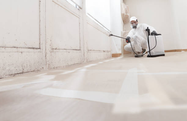 24/7 Emergency Mold Remediation experts in Marlton, MD